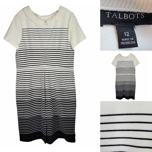 Talbots Dress Womens Size 12 Black White Stripe SS Cotton Stretch Peter Pan - Picture 1 of 7